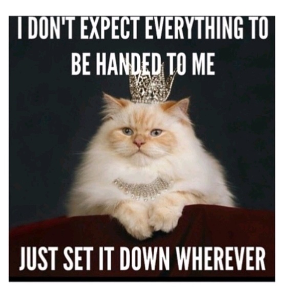 Meet your Posher, Amber - Picture 1 of 1